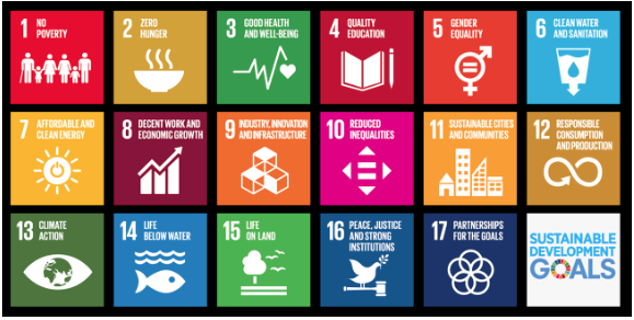 sustainable development goals